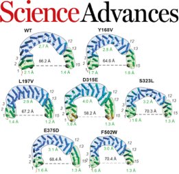 Our paper was published in Science Advances